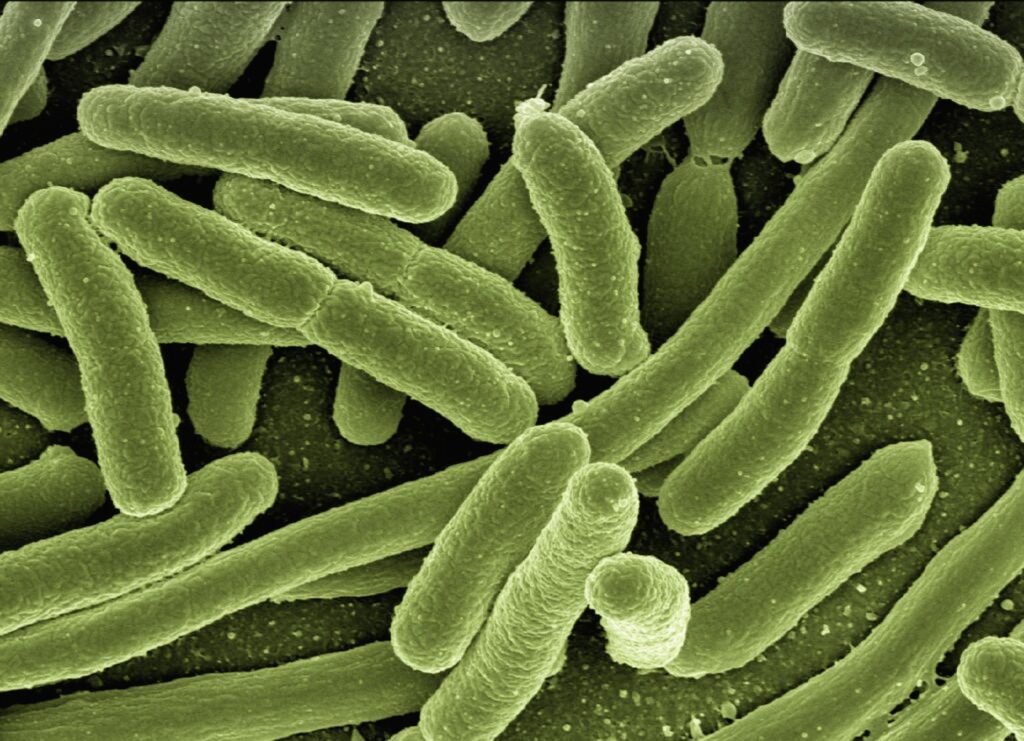 CDC Sounds Alarm on Nightmare Bacteria Surge: What You Need to Know