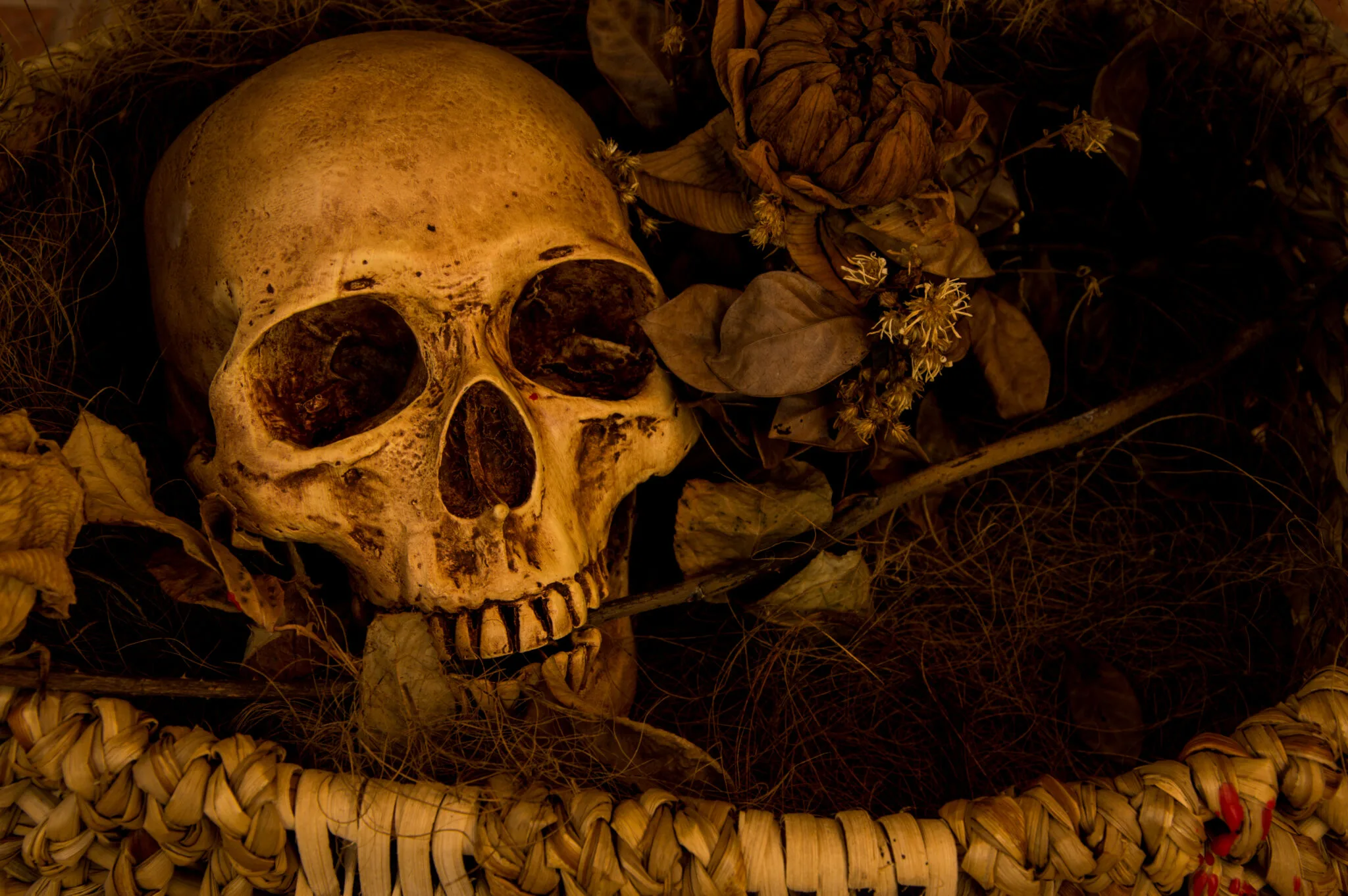 Ancient Skull from China Could Rewrite Human Evolution Timeline